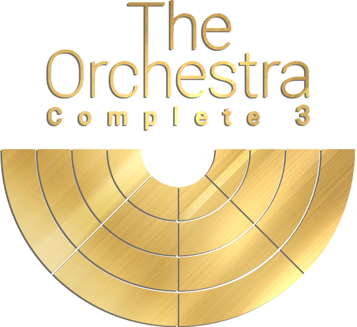 The orchestra complete